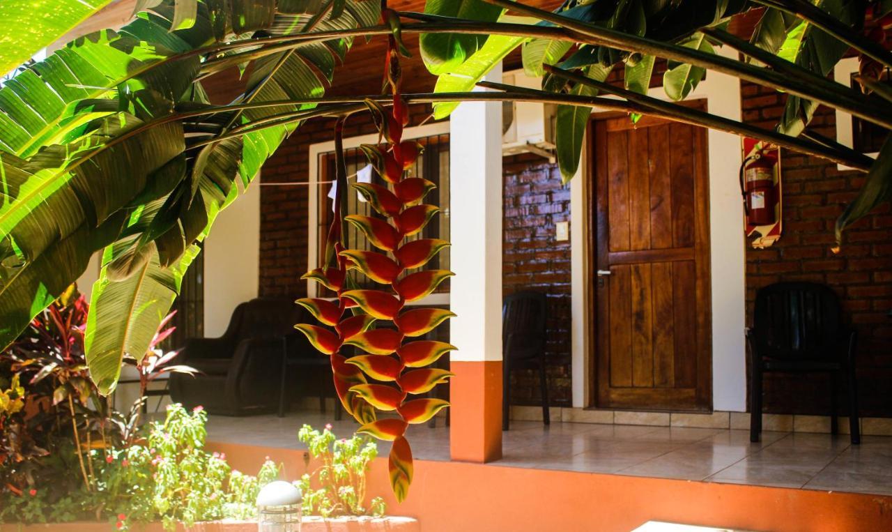 Guest house Jose Gorgues 2*
